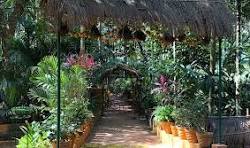Spice Farm